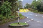 PICTURES/Everything That Did Not Fit Anywhere Else/t_DSC00229.JPG
